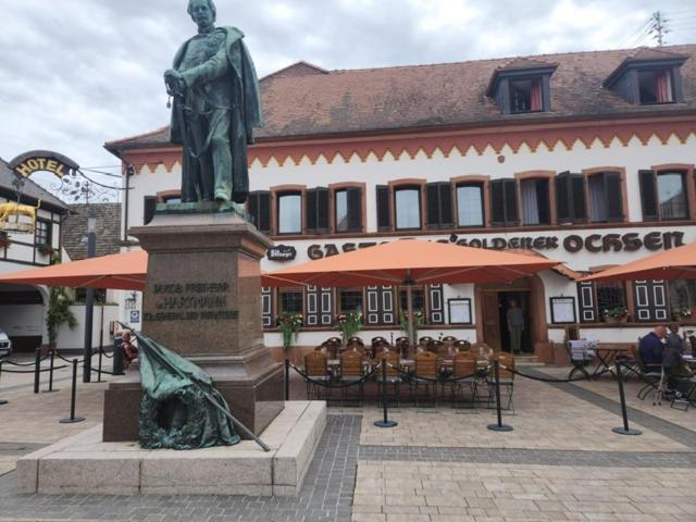 Hotel Zum Goldenen Ochsen مايكامير المظهر الخارجي الصورة