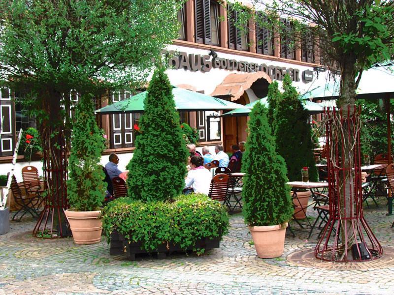 Hotel Zum Goldenen Ochsen مايكامير المظهر الخارجي الصورة